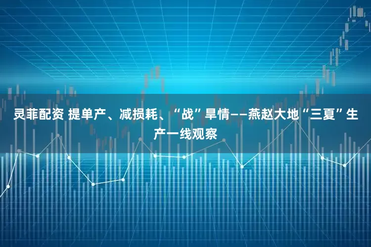 灵菲配资 提单产、减损耗、“战”旱情——燕赵大地“三夏”生产一线观察