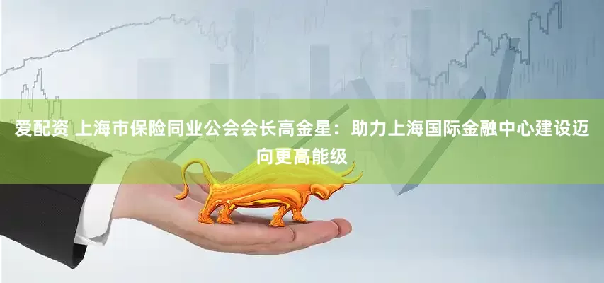 爱配资 上海市保险同业公会会长高金星：助力上海国际金融中心建设迈向更高能级