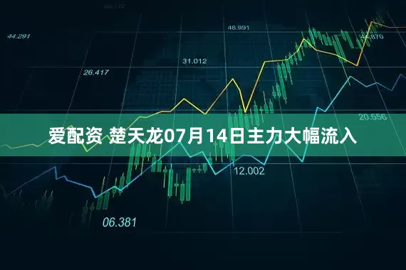 爱配资 楚天龙07月14日主力大幅流入